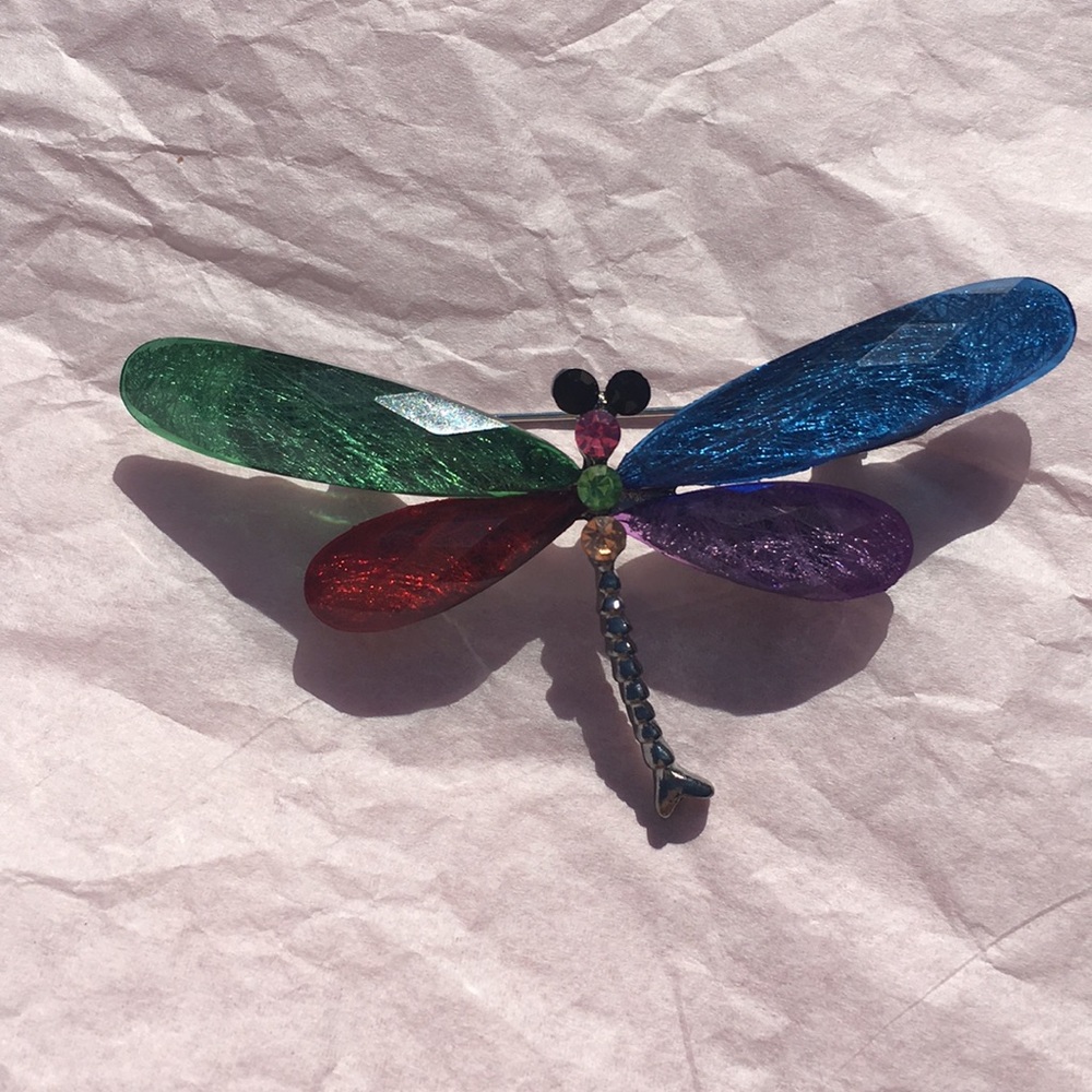 Great colorful dragonfly